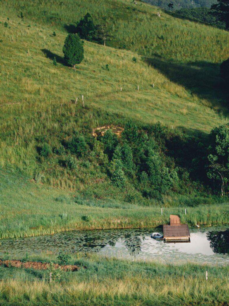 10 768x1024