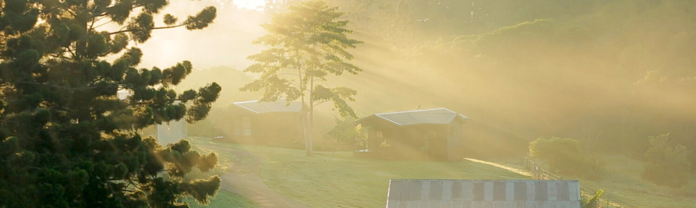 User banner image