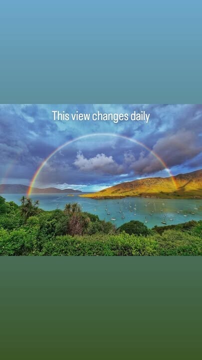 moni rainbow
